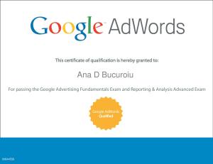 Certificare Raportare si Analiza Google Adwords