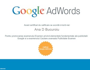 Certificare Google Adwords seach